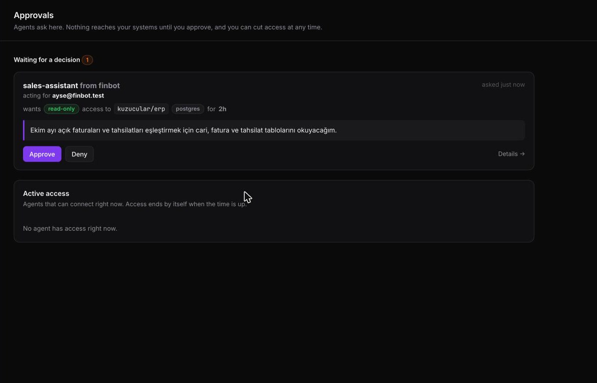 Approvals screen: sales-assistant from finbot, acting for ayse@finbot.test, wants read-only access to kuzucular/erp for 2 hours, with its reason in Turkish; Approve and Deny buttons.