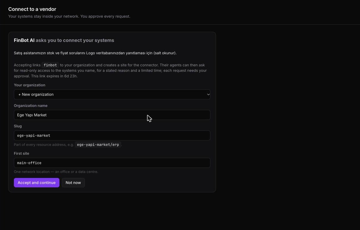 Connect page: FinBot AI asks you to connect your systems, with the vendor's note, and fields for the organization name, slug and first site.